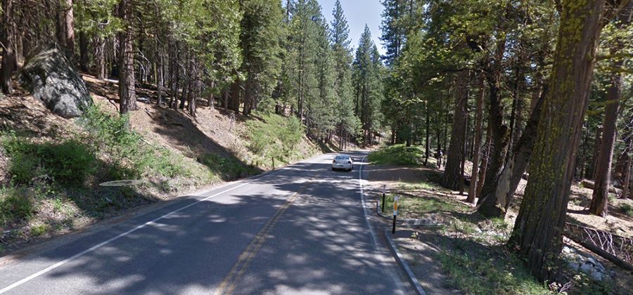 Travelling through the scenic Wawona Road